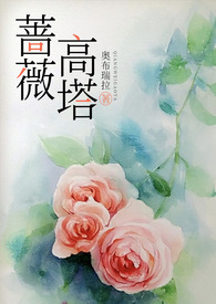 蔷薇高干文